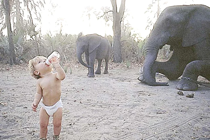 Tippi, la vârsta de 6 ani, jucându-se cu un leopard domesticit