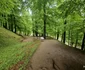 Sarmizegetusa Regia Foto Daniel Guță ADEVĂRUL (105) jpg