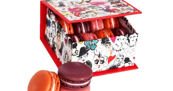 Setul de macaroon creat de Alber Elbaz FOTO facebook/lanvinofficial