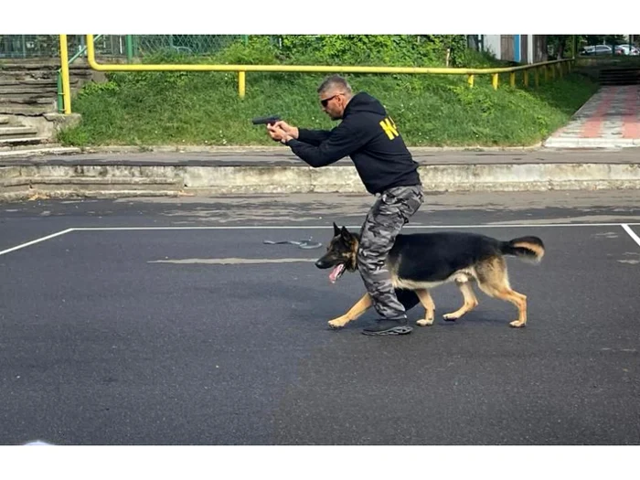 Oscar este specializat în detectarea mirosului uman FOTO Poliția Neamț