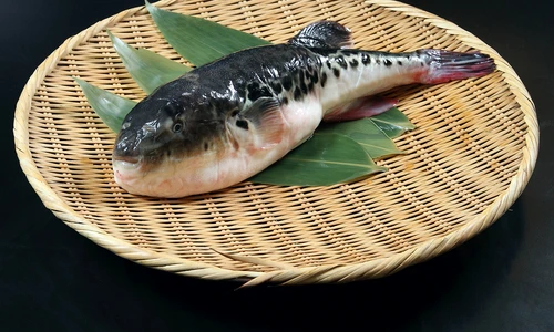 1 shutterstock 630279032 jpg jpeg