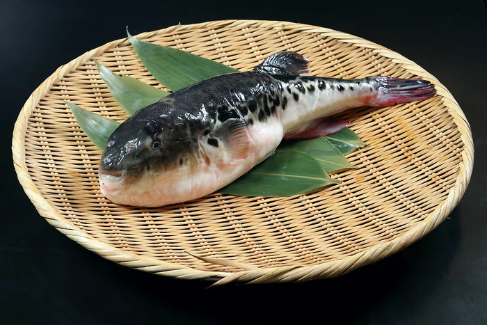 1 shutterstock 630279032 jpg jpeg