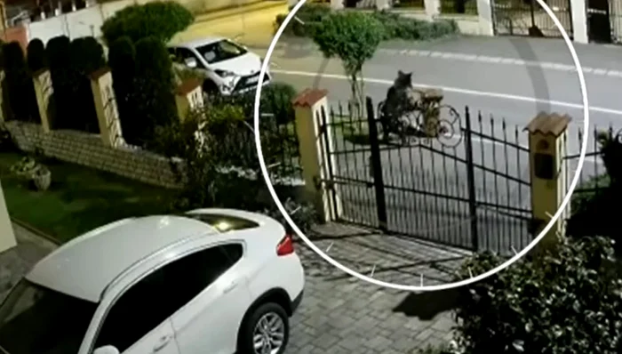 Victima este în stare critică. FOTO: arhivă / captură video