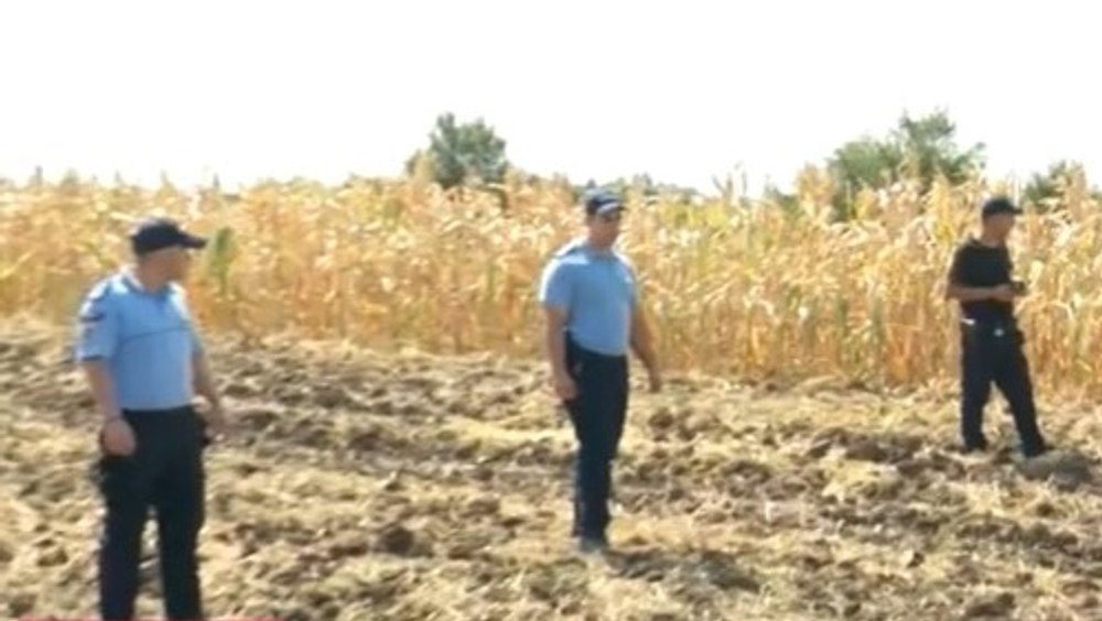 Zeci de jandarmi „perie” câmpurile din Crevedia, în căutare de probe în urma exploziilor