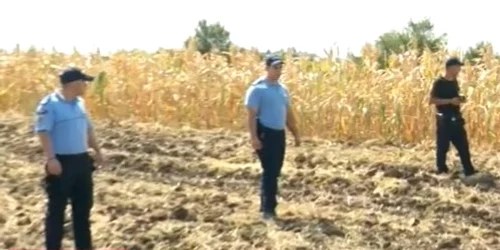 2 jpg