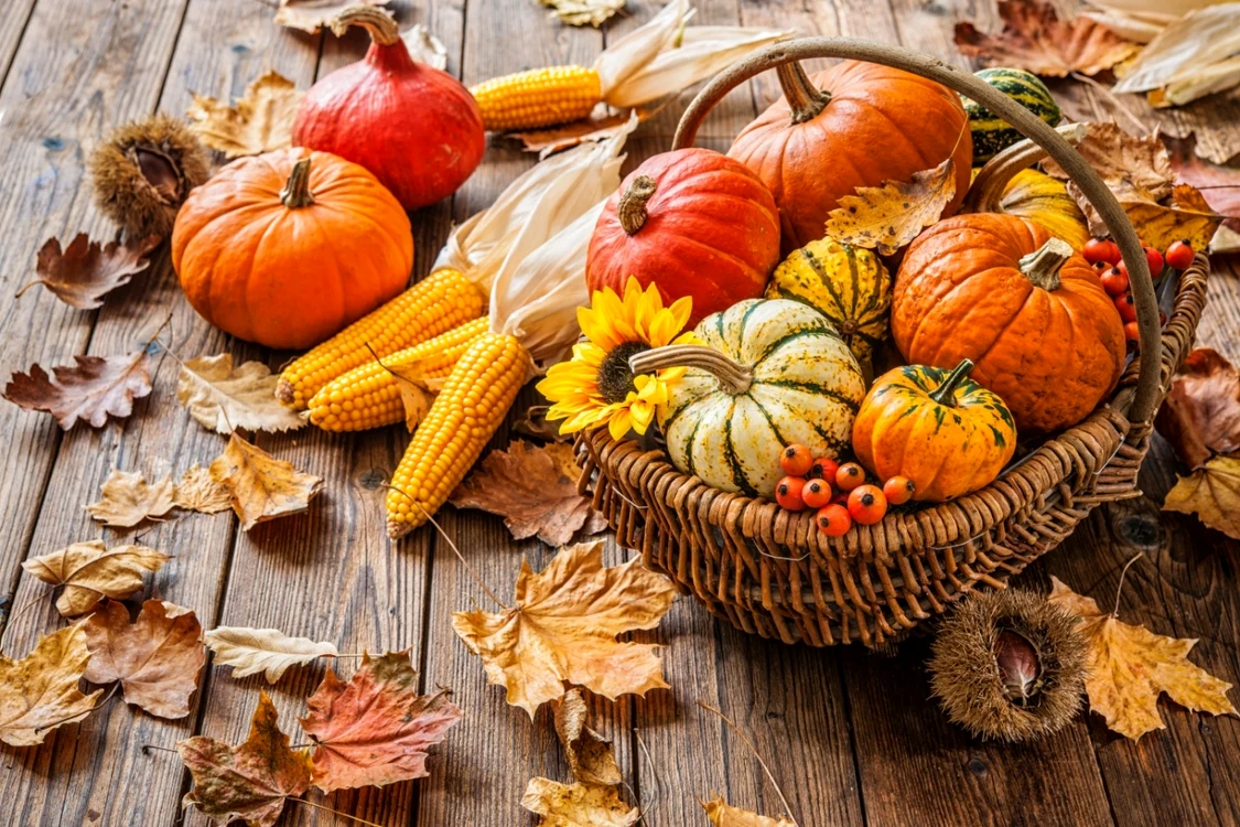 Dovleacul, vedeta toamnei FOTO Shutterstock