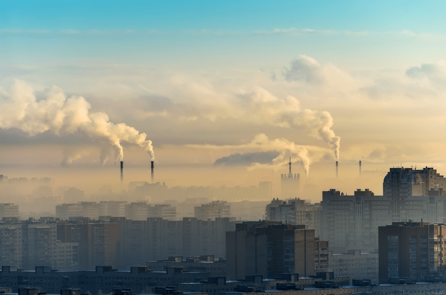 Sondaj. Exploatarea pădurilor, cea mai mare problemă de mediu. Cum văd românii schimbările climatice