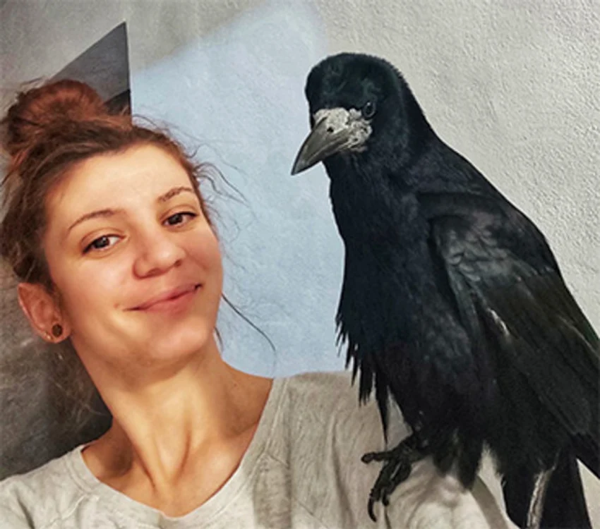 
    Jucăriile din plastic, preferatele păsării  