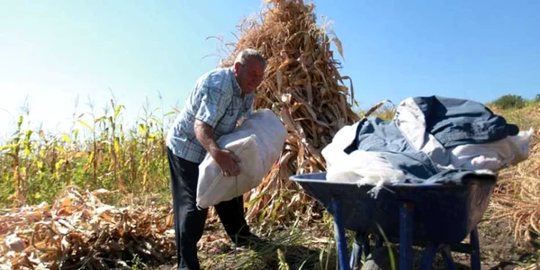 Până să vină investiţii majore, agricultorii se descurc aşa cum pot