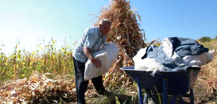 Până să vină investiţii majore, agricultorii se descurc aşa cum pot