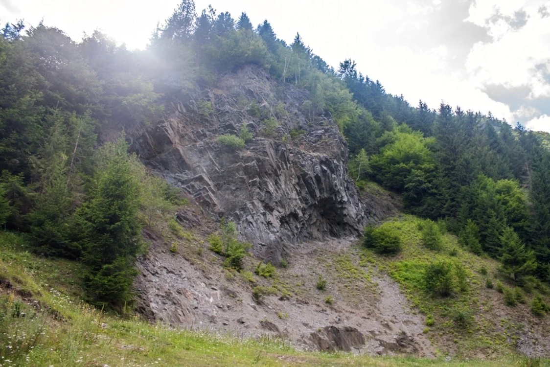valea vinului  7