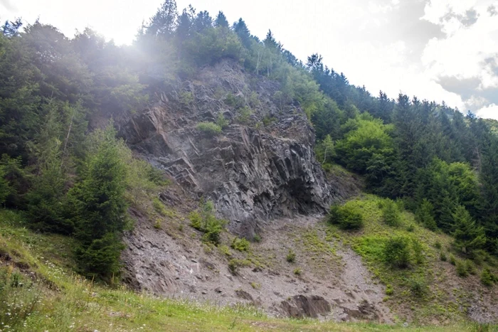 valea vinului 7