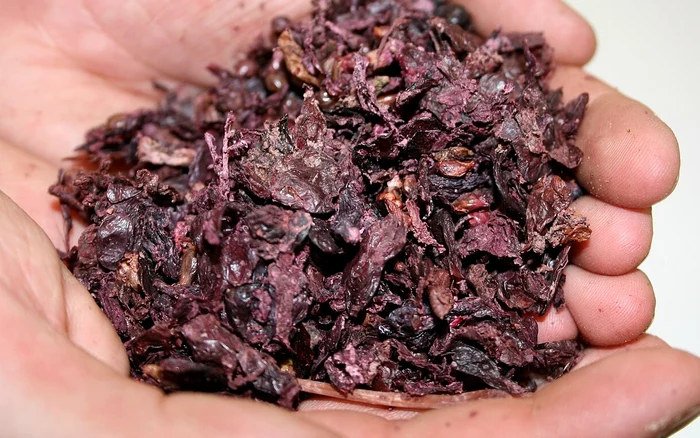 Tescovină. Foto Adrian J. Hunter. Wikipedia