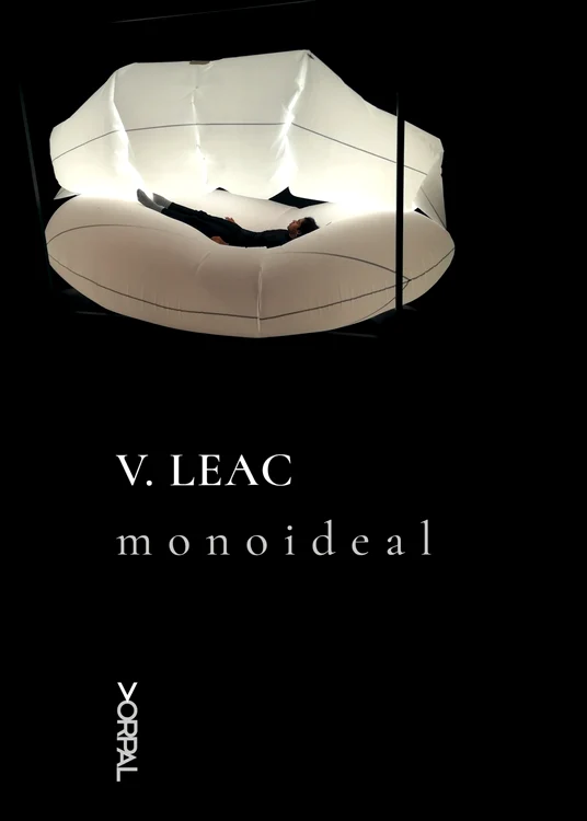 Monoideal_Vasile Leac