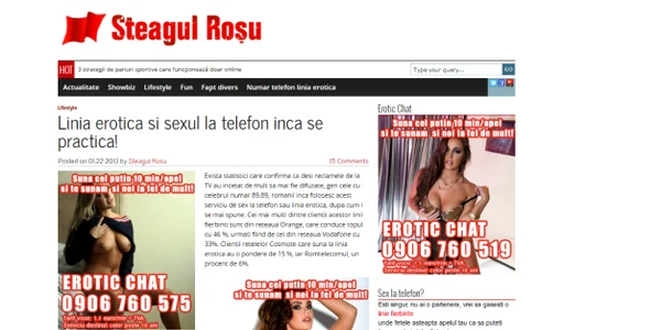 Florin Popescu monitorizează pe bani publici la Consiliul Judeţean şi blogul steagulrosu.ro