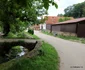 Fărășești Foto Daniel Guță ADEVĂRUL (3) JPG