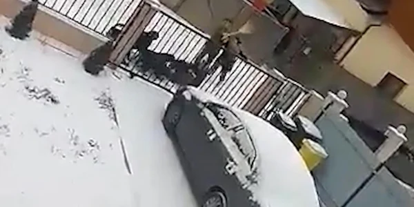 atac femeie caini suceava