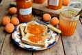 1 dulceata de caise jpg jpeg