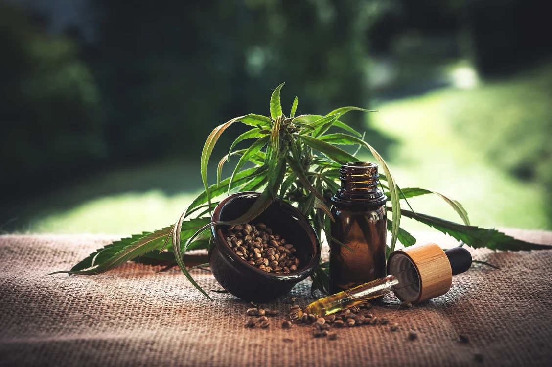 Ministrul Sănătății din Germania propune o lege revoluționară pentru legalizarea canabisului