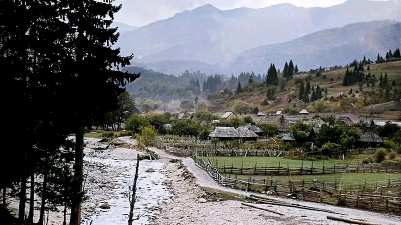 Satul Câmul lui Neag a fost demolat în doar trei zile