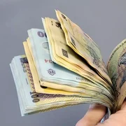Bani png