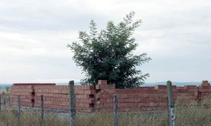 Artele vizuale în 2018 jpeg