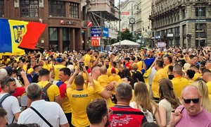 sustinatorii nationalei de fotbal la viena foto fb