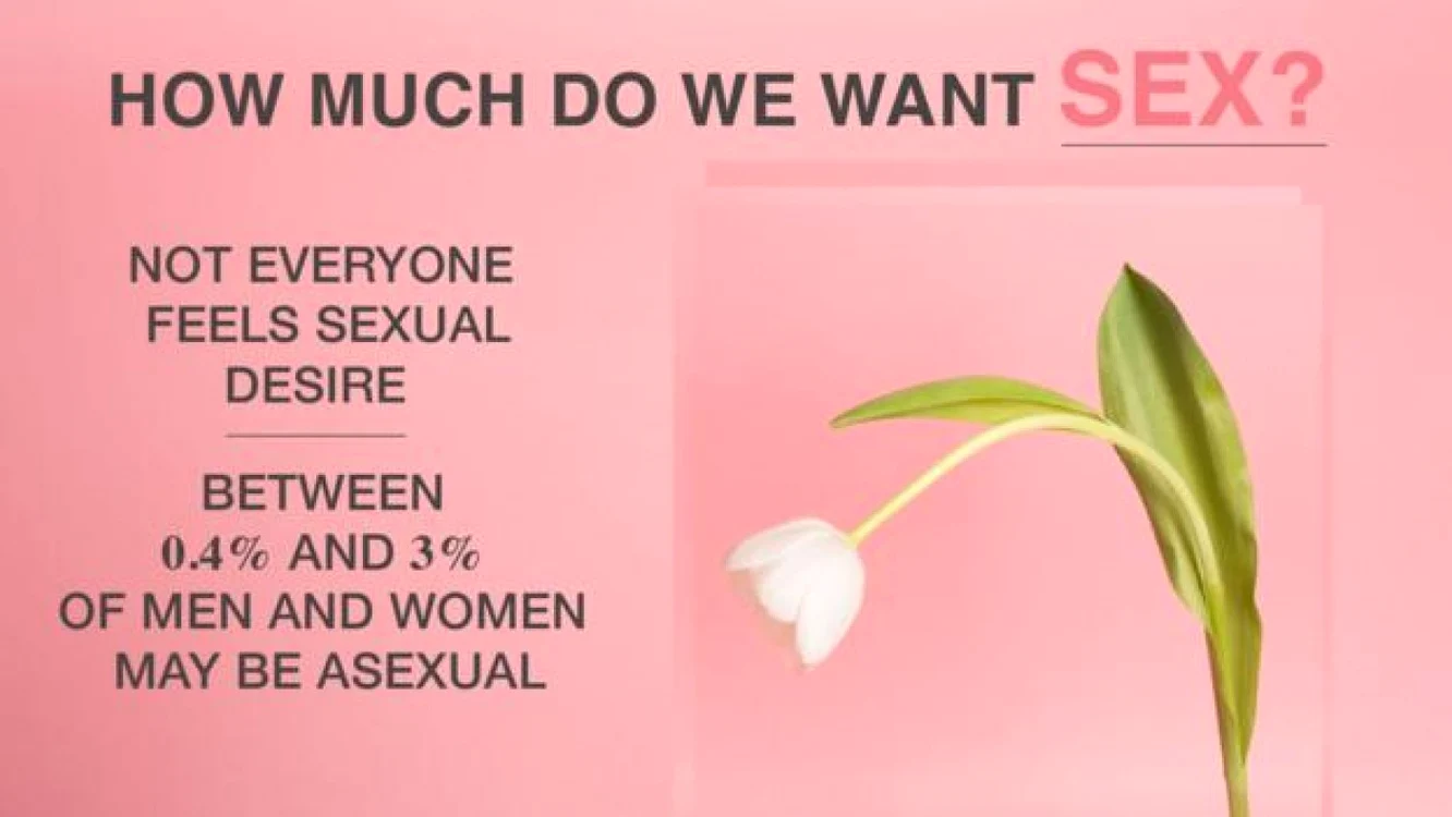 slide despre sex