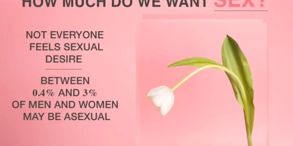 slide despre sex