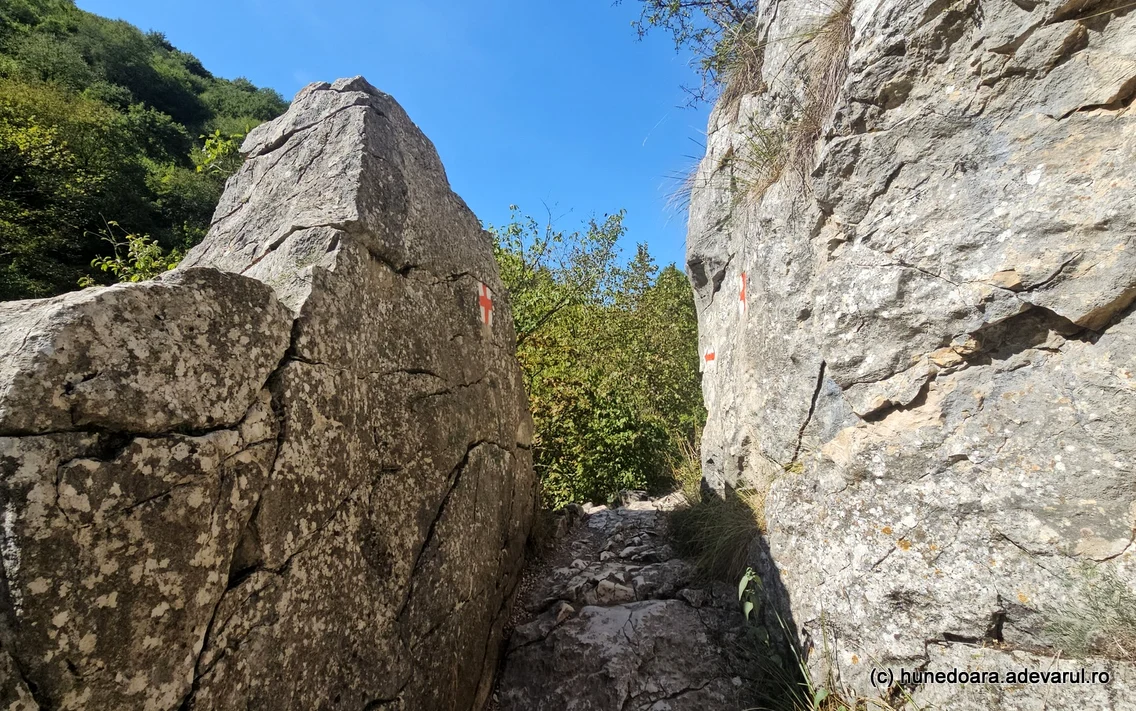Cheile Turzii  Foto Daniel Guță ADEVĂRUL (147) jpg