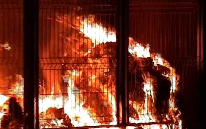 Incendiul a izbucnit de la o ţigară aprinsă aruncată  în gunoi de o persoană necunoscută 