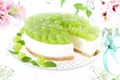 1 shutterstock 1799757358 jpg jpeg