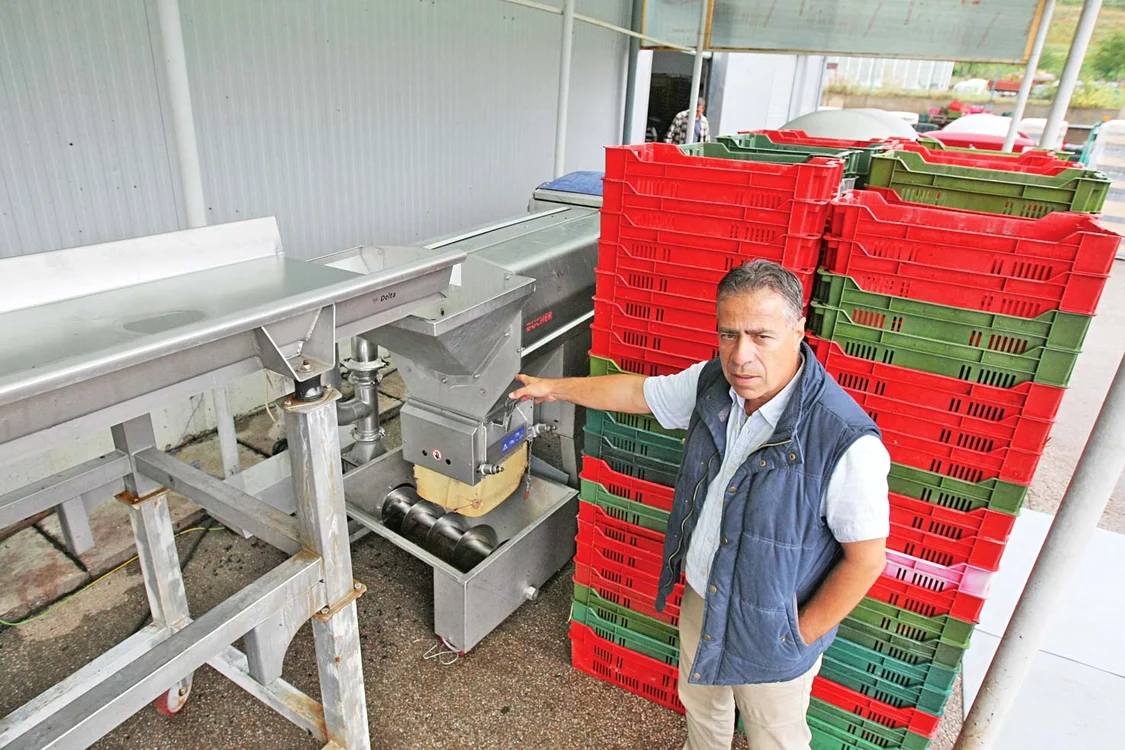 Instalațiile de vinificare de la crama Bazilescu produc o licoare pentru cunoscători, crede Ilie Buican