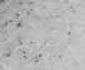 grindina corabia