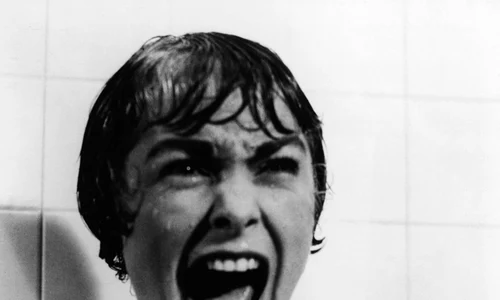 annex   leigh janet psycho 01 jpeg