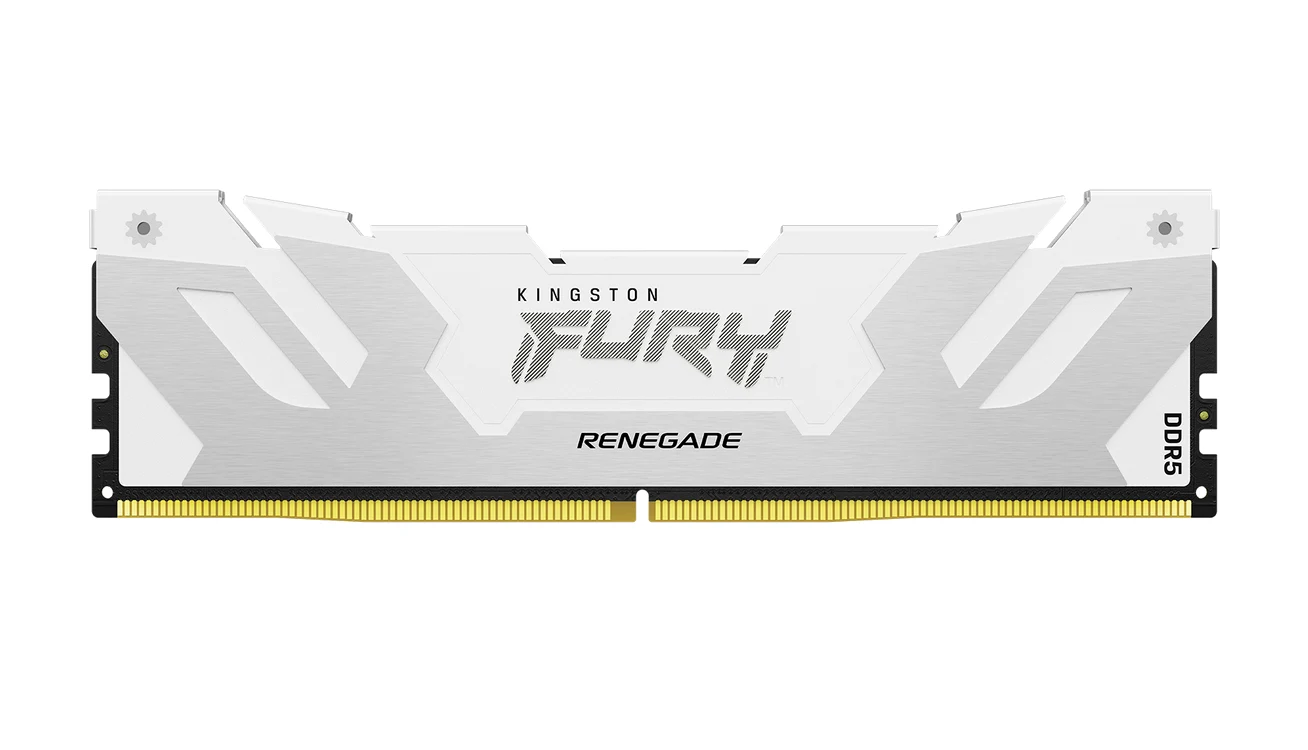 Kingston FURY Renegade.