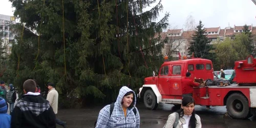 Angajaţii municipalităţii au început să împodobească bradul amplasat în Parcul Mircea cel Bătrân