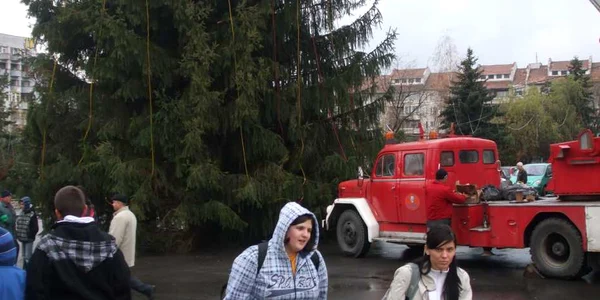 Angajaţii municipalităţii au început să împodobească bradul amplasat în Parcul Mircea cel Bătrân