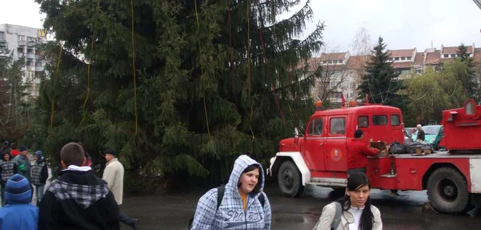 Angajaţii municipalităţii au început să împodobească bradul amplasat în Parcul Mircea cel Bătrân