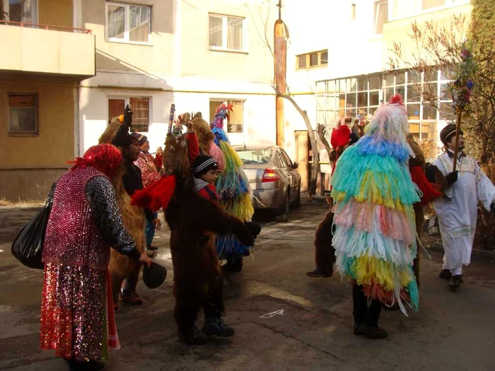 Urşii din Moineşti-Bacău au colindat prin cartierele Râmnicului