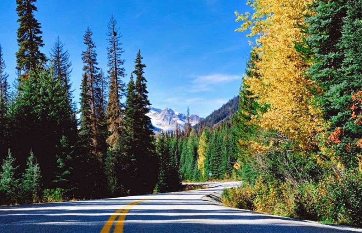 Imagine cu o porţiune din Autostrada 99 din Canada   FOTO: Facebook LoveLifeTravellers