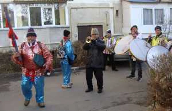 Urşii din Moineşti-Bacău au colindat prin cartierele Râmnicului