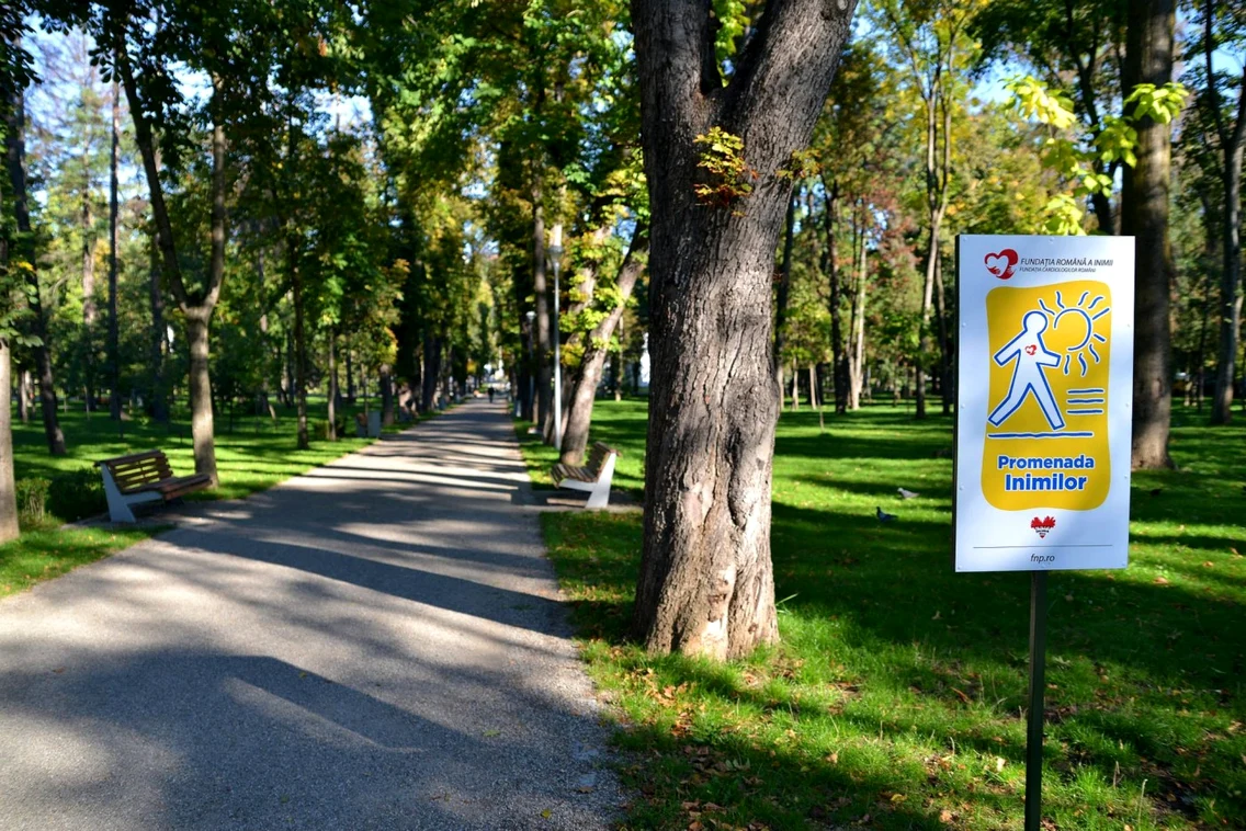 trasee de promenadă pentru cardiaci cluj