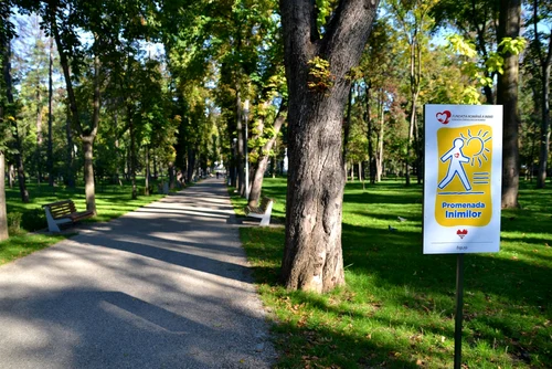 trasee de promenadă pentru cardiaci cluj