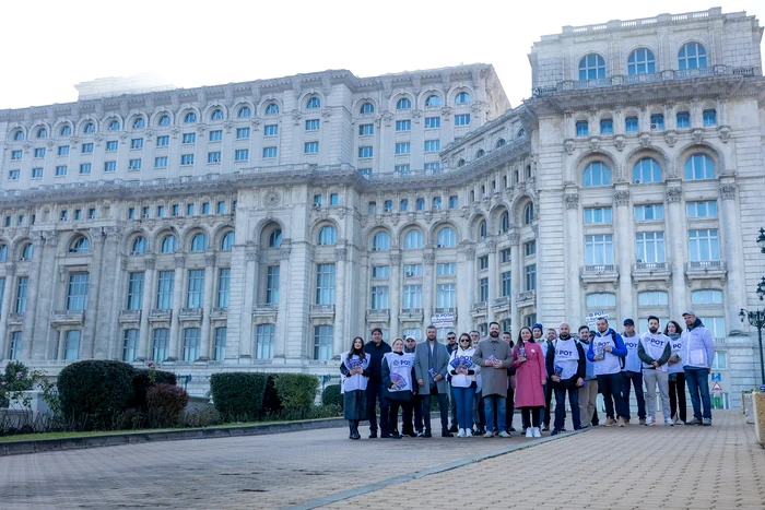 Sursă foto: Facebook/Partidul Oamenilor Tineri