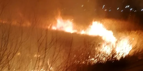 Incendiu vegetaţie la vărsarea Olăneştiului în Olt - în municipiul Râmnicu Vâlcea Foto ISU Vâlcea
