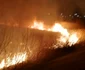 Incendiu vegetaţie la vărsarea Olăneştiului în Olt - în municipiul Râmnicu Vâlcea Foto ISU Vâlcea