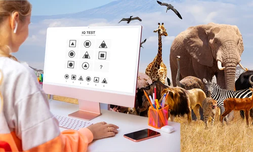 banner iq test png