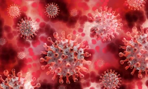 coronavirus origini jpeg