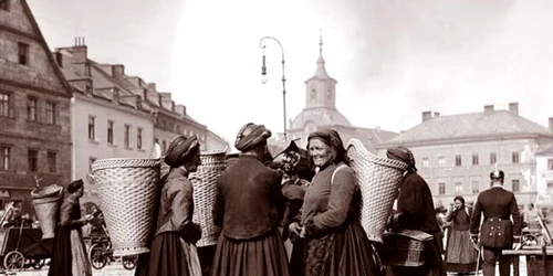 fotografii de colectie